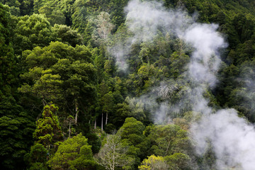 Beautiful landscape sceneries in Azores Portugal. Nature. Beautiful tropical rainforest in  Sao Miguel Island, Azores. thermal. 