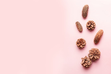 Autumn composition. Christmas pine cones on pink background.