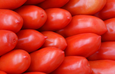 red ripe tomatoes