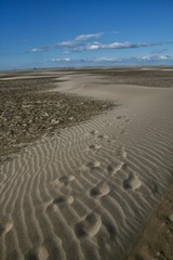 plage de l'espiguette au Grau du Roi Sud de la France