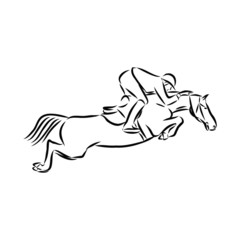 horse on white, horsemanship sketch 