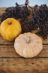 Autumn orange pumpkins on wooden table.