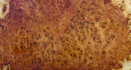 Nature afzelia burl wood striped