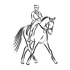 Fototapeta na wymiar horse and jockey, horsemanship sketch 