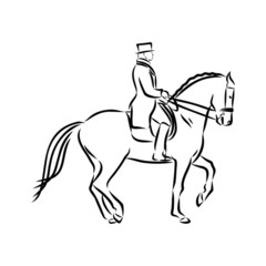 Fototapeta na wymiar vector illustration of a horse, horsemanship sketch 