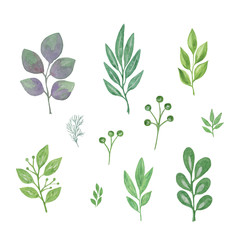 A set of different watercolor decorative leaves, hand drawn pattern