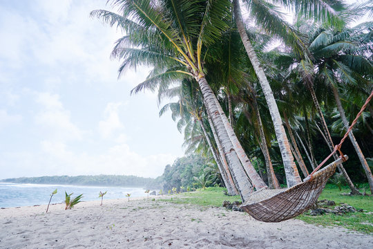 Tranquil vacation. Tropical beach resort with coconut palms and hammock.