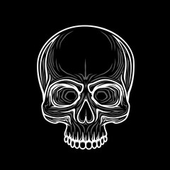 Human skull isolated on black, color object.