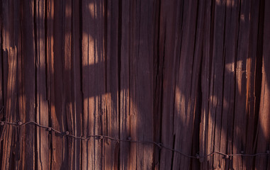 Empty wooden wall with shadow form tree texture background.
