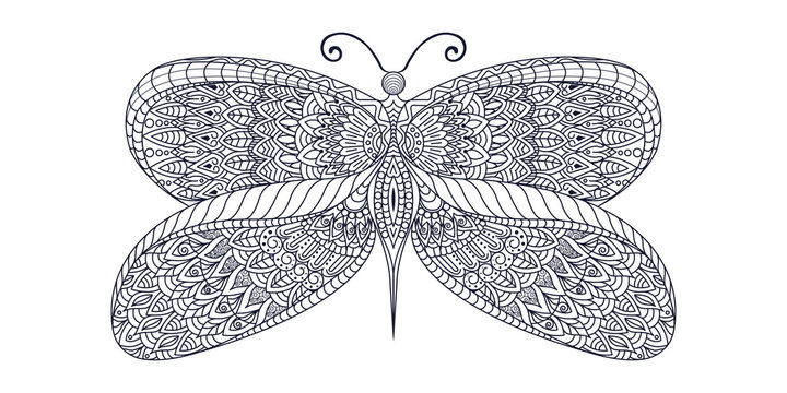 black and white Stylized butterfly zentangle vector
