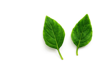 Basil leaves on a white background, isolated. Top view, flat lay, copy space.