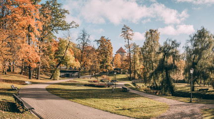 autumn in the park