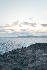 Fototapeta premium Atardecer con vistas del mar y la costa desde las rocas