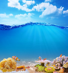 Fototapety na wymiar - Fototapeta24.pl