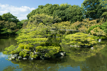 Fototapeta na wymiar Nature background featuring detail of traditional Japanese garden with green pond and water reflections in Kyoto, Japan