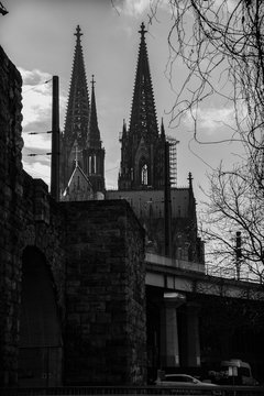 cgn