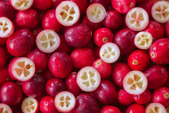 ripe cranberry berries background. abstract texture background with cranberry close-up (filling pattern). layout. cranberries flat lay.