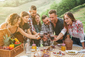 Group of friends making a toast during a barbecue in the countryside