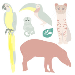 Brazilian wild animals vector illustration. South American tapir, exotic toucan, macaw, wild cat, Finger Monkey (Pygmy Marmoset). Brazil traditional colorful flat nature set.