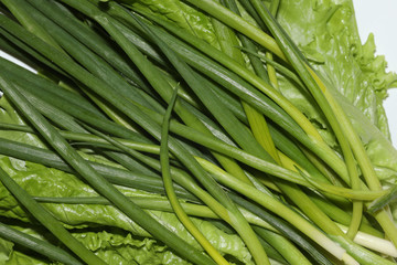 green onions and lettuce close up
