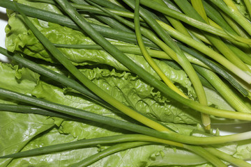 green onions and lettuce close up