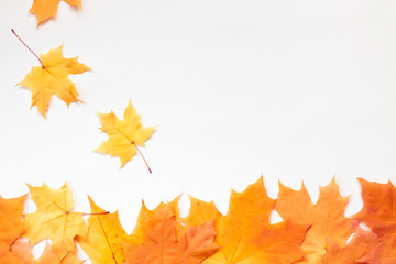 Autumn composition, creative background. Orange leaves fall on white, copy space for text.