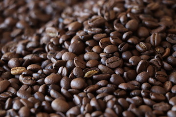 coffee beans background