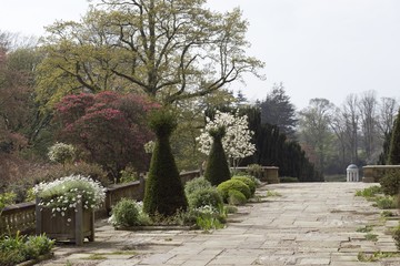 path in garden