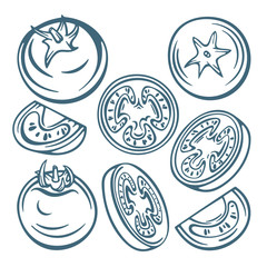 Tomato. Tomato hand drawn vector illustrations set. Tomato sketch graphic. Whole, sliced, quarter and half tomatoes.