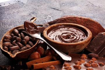 Chocolate bar pieces and melting swirl cocoa. Sweet food photo concept. The chunks of broken...