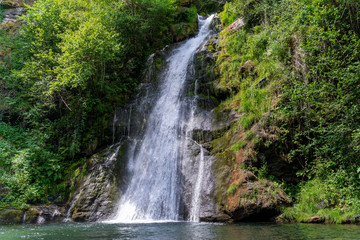 Waterfall in the middle of a forest