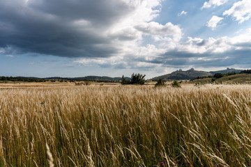 field and sky