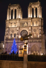 Fototapeta na wymiar Christmas in Notre Dame, Paris