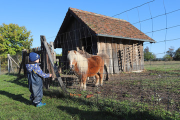 Ein kleiner Junge füttert ein Pony auf einem Bauernhof im Oderbruch