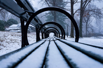 Snowing in Central Park, New York