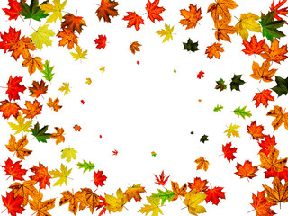 Autumn leaves border. October thanksgiving pattern isolated on white background. Falling leaves concept