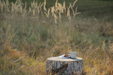 Delicious food in the forest in a pan. Dinner in the woods in the fresh air. Camping, camping. Food at the stake - barbecue grilled sausages. Bread with milk in the meadow. Tasty Camping Lunch