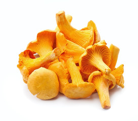 Chanterelle mushrooms isolated on white backgrounds. © margo555