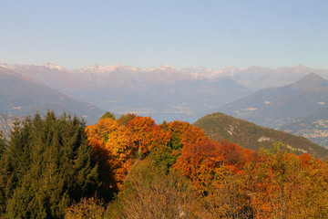 The colors of autumn in Como Lake Alps