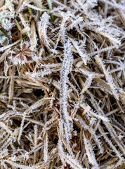 close-up frost texture in winter