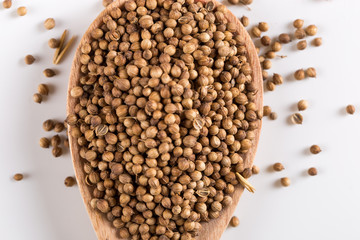 Coriander grains in a wooden spoon on a white background. Concept, copy space.