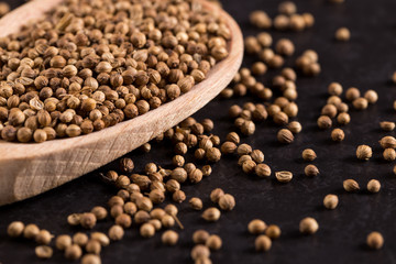 Coriander grains in a wooden spoon are scattered on a black background. Concept, copy space.