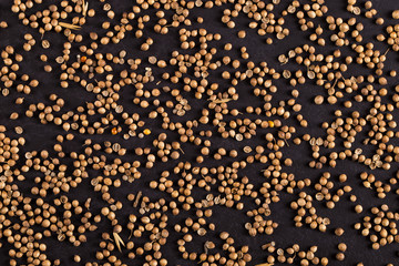 Grains of coriander, evenly scattered on a black background, yellow background from spices. Concept, copy space.