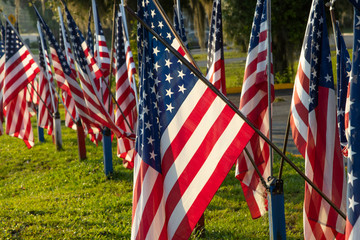 American flags displayed on Independence Day, the 4th. of July
