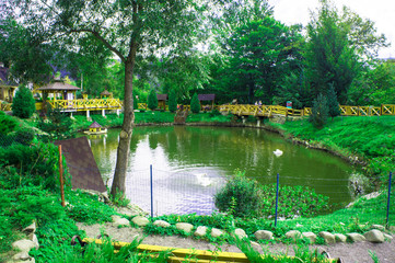 Obraz premium Green beautiful light pond in the park.