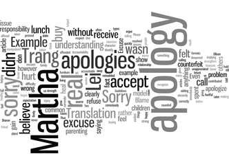 I m Sorry Blame Game or Accountability