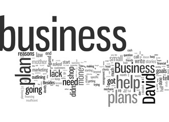 Fototapeta premium I Don t Need a Business Plan Do I