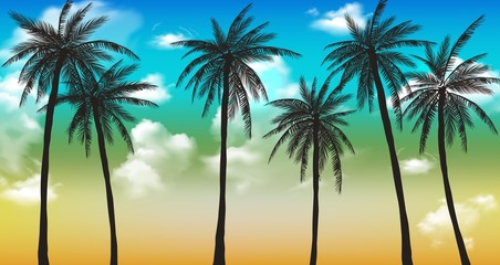 Fototapeta na wymiar Sunset Beach with palm trees and beautiful sky landscape. Travel, Tourism, vacation concept background. Mexico. Paradise scene of Caribbean Island. Beautiful coconut palms silhouettes over orange sun