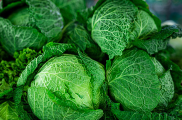 Obraz premium Beautiful picture of fresh green kale