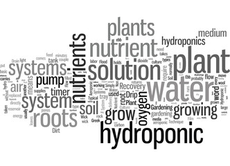 Hydroponic Plant Systems What No Dirt